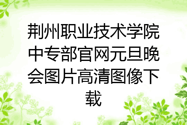 荆州职业技术学院中专部官网元旦晚会图片高清图像下载