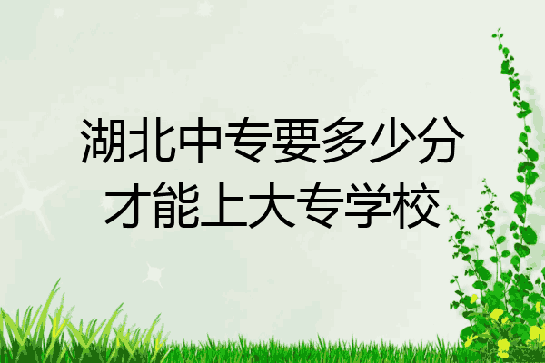 湖北中专要多少分才能上大专学校