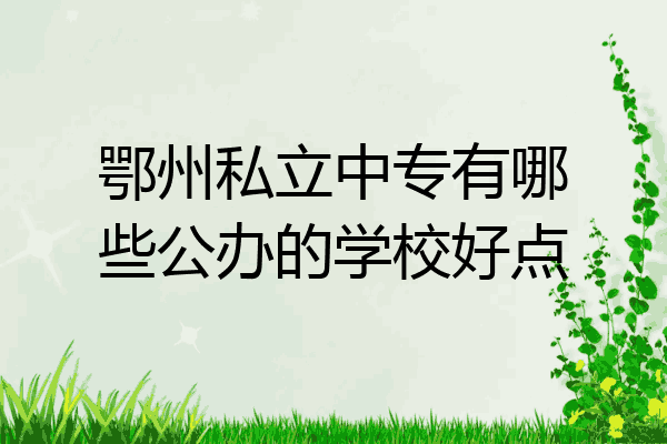 鄂州私立中专有哪些公办的学校好点
