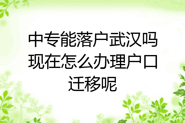 中专能落户武汉吗现在怎么办理户口迁移呢