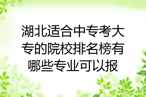湖北适合中专考大专的院校排名榜有哪些专业可以报