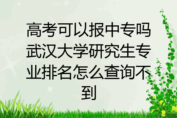 高考可以报中专吗武汉大学研究生专业排名怎么查询不到