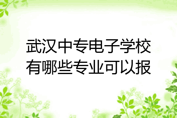 武汉中专电子学校有哪些专业可以报