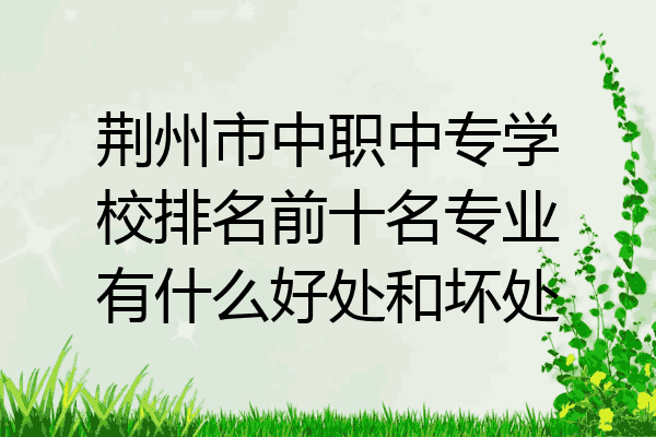 荆州市中职中专学校排名前十名专业有什么好处和坏处
