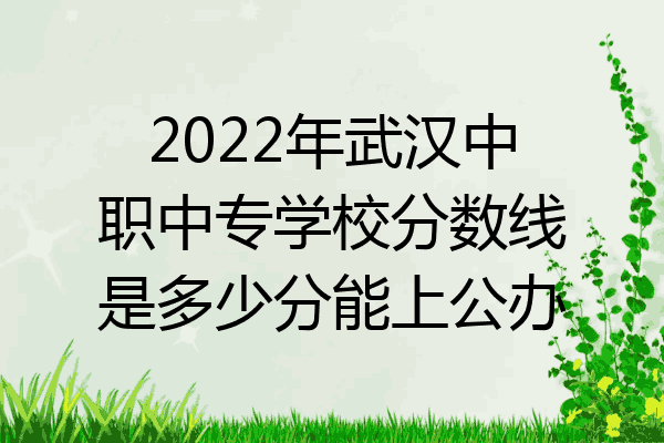 2022年武汉中职中专学校分数线是多少分能上公办