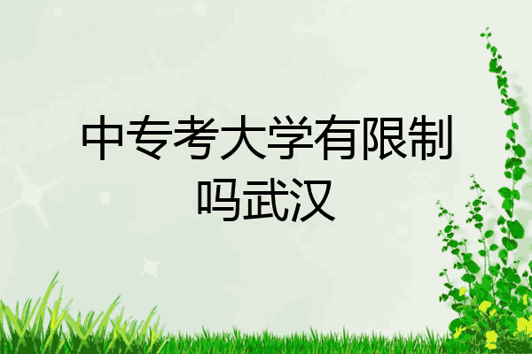 中专考大学有限制吗武汉