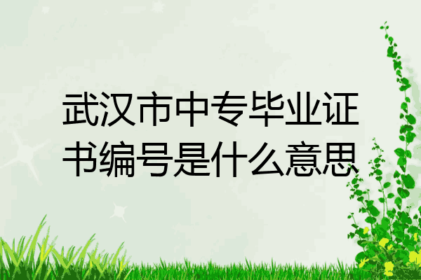 武汉市中专毕业证书编号是什么意思