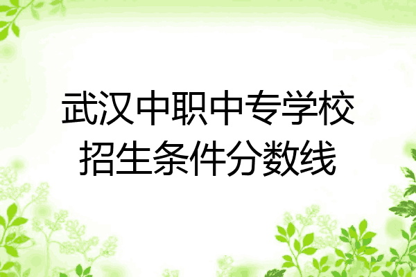 武汉中职中专学校招生条件分数线