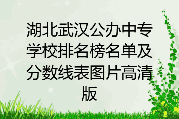 湖北武汉公办中专学校排名榜名单及分数线表图片高清版