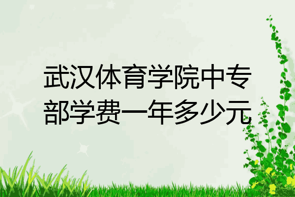 武汉体育学院中专部学费一年多少元