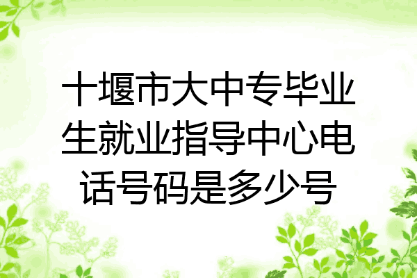 十堰市大中专毕业生就业指导中心电话号码是多少号