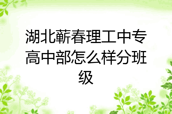 湖北蕲春理工中专高中部怎么样分班级