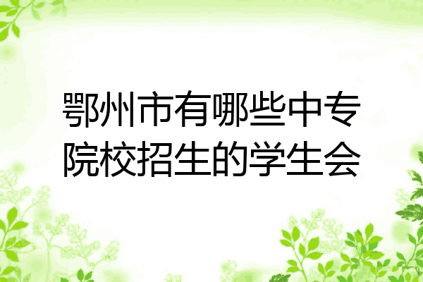 鄂州市有哪些中专院校招生的学生会