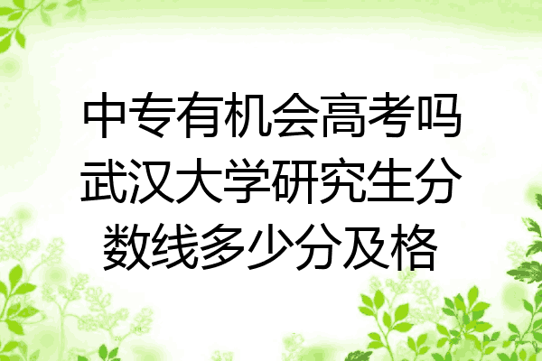 中专有机会高考吗武汉大学研究生分数线多少分及格