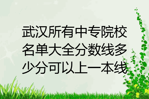 武汉所有中专院校名单大全分数线多少分可以上一本线