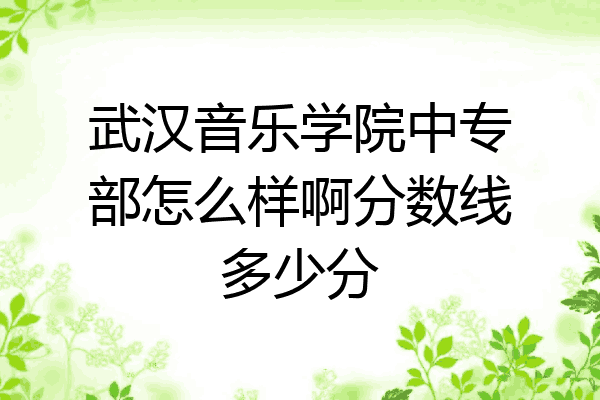 武汉音乐学院中专部怎么样啊分数线多少分