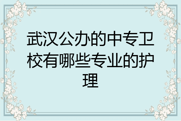 武汉公办的中专卫校有哪些专业的护理