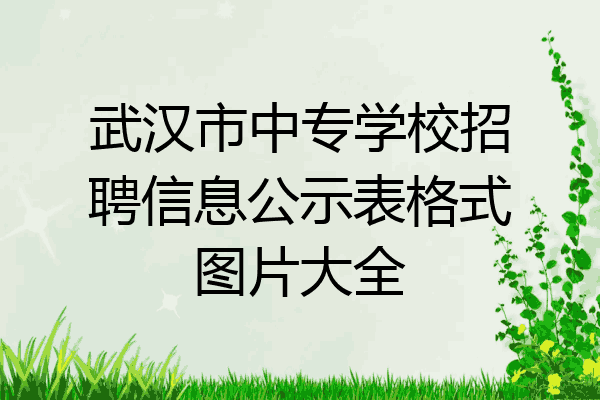 武汉市中专学校招聘信息公示表格式图片大全