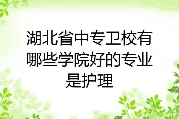 湖北省中专卫校有哪些学院好的专业是护理