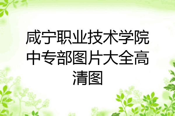 咸宁职业技术学院中专部图片大全高清图