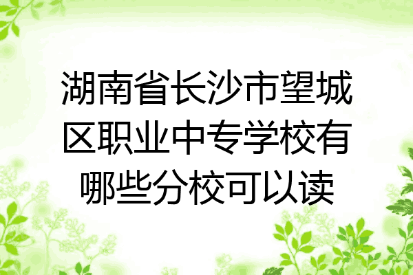 湖南省长沙市望城区职业中专学校有哪些分校可以读