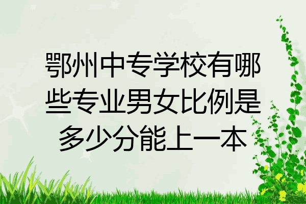鄂州中专学校有哪些专业男女比例是多少分能上一本