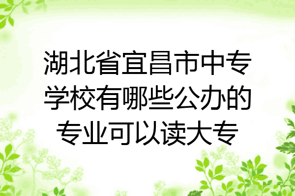 湖北省宜昌市中专学校有哪些公办的专业可以读大专