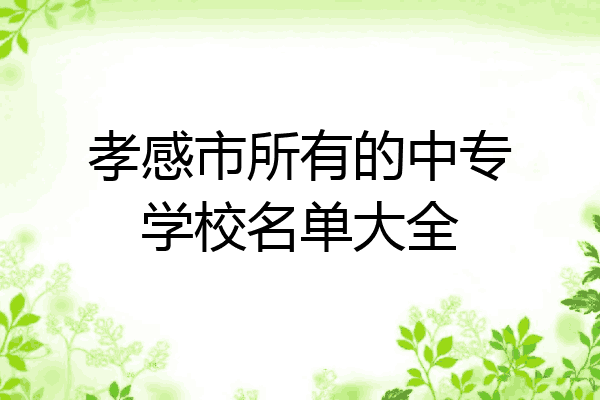 孝感市所有的中专学校名单大全