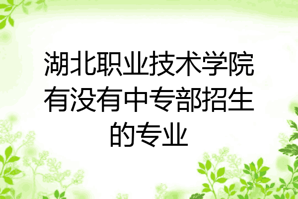 湖北职业技术学院有没有中专部招生的专业