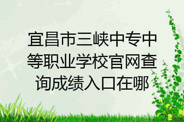 宜昌市三峡中专中等职业学校官网查询成绩入口在哪