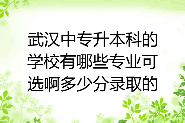 武汉中专升本科的学校有哪些专业可选啊多少分录取的