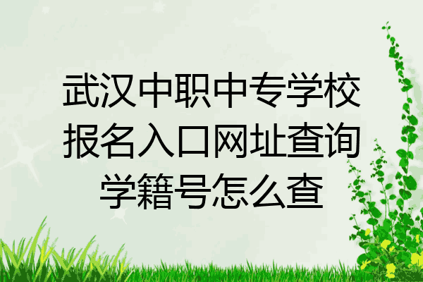 武汉中职中专学校报名入口网址查询学籍号怎么查