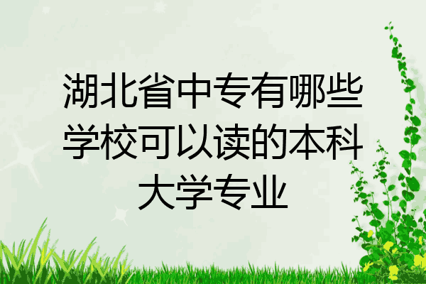 湖北省中专有哪些学校可以读的本科大学专业