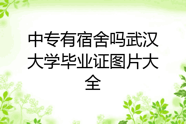 中专有宿舍吗武汉大学毕业证图片大全