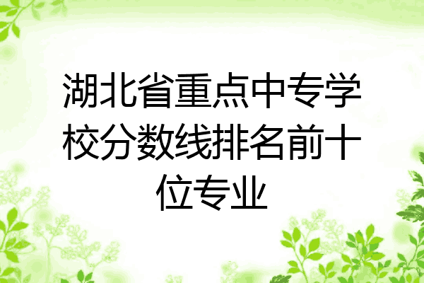 湖北省重点中专学校分数线排名前十位专业