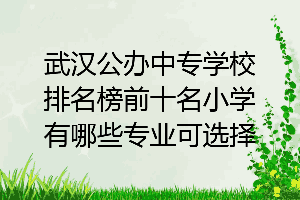 武汉公办中专学校排名榜前十名小学有哪些专业可选择