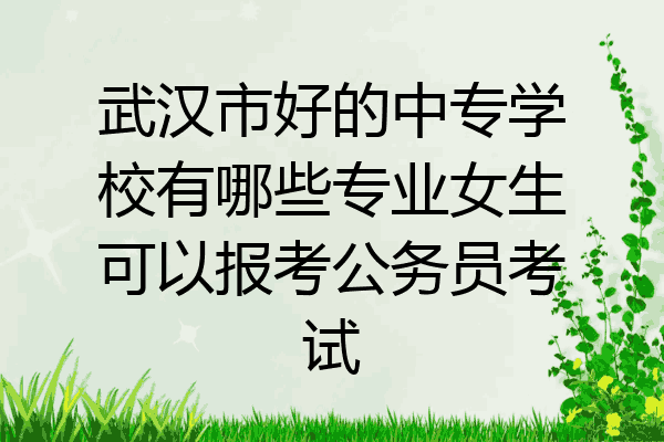 武汉市好的中专学校有哪些专业女生可以报考公务员考试