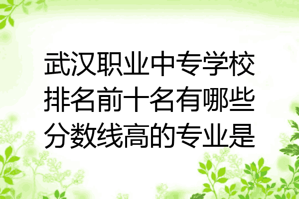 武汉职业中专学校排名前十名有哪些分数线高的专业是