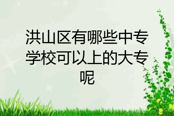 洪山区有哪些中专学校可以上的大专呢