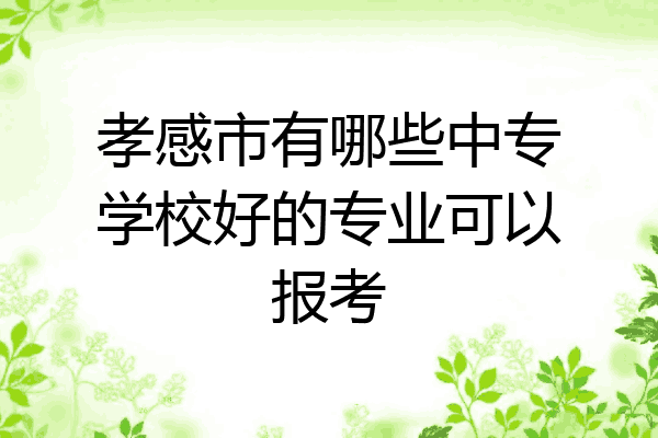 孝感市有哪些中专学校好的专业可以报考