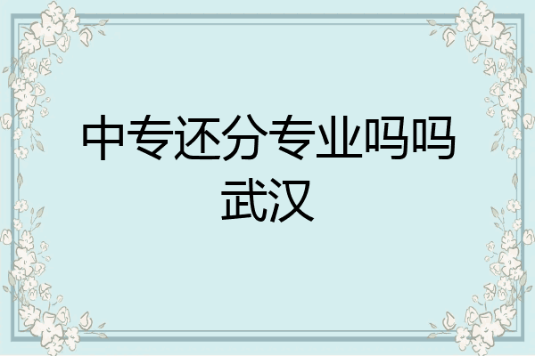 中专还分专业吗吗武汉