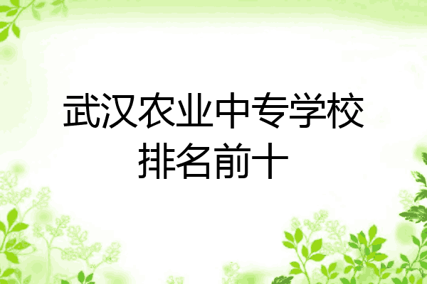 武汉农业中专学校排名前十