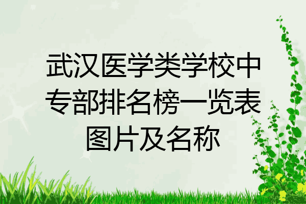 武汉医学类学校中专部排名榜一览表图片及名称