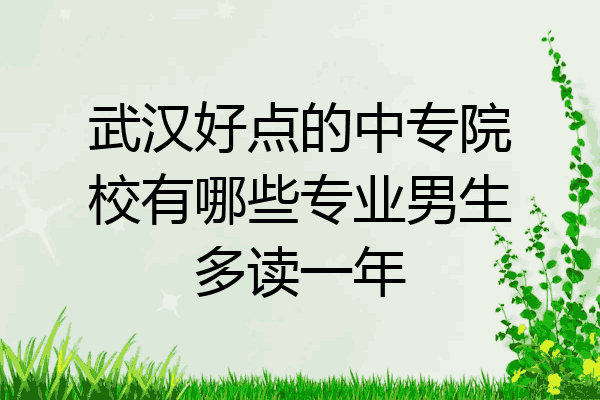 武汉好点的中专院校有哪些专业男生多读一年