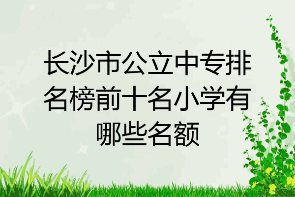 长沙市公立中专排名榜前十名小学有哪些名额