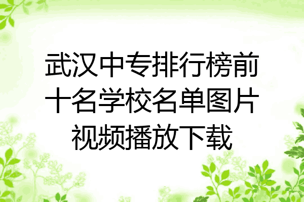 武汉中专排行榜前十名学校名单图片视频播放下载