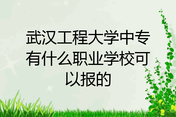 武汉工程大学中专有什么职业学校可以报的