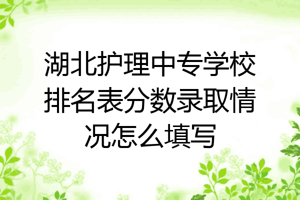 湖北护理中专学校排名表分数录取情况怎么填写