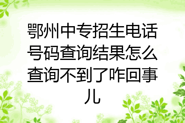 鄂州中专招生电话号码查询结果怎么查询不到了咋回事儿