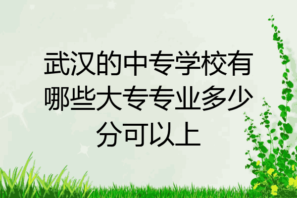 武汉的中专学校有哪些大专专业多少分可以上